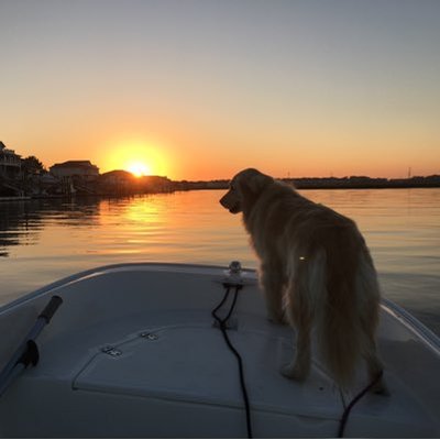 Profile Picture of Steve At The Beach (@SteveOber2) on Twitter