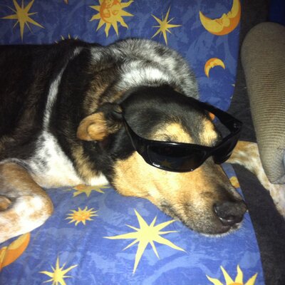 Profile Picture of Joe Pleasant (@pleasant2009) on Twitter