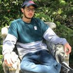 Profile Picture of Chris Polanco (@cpolanco52) on Instagram