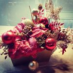 Profile Picture of Karen Koch (@karenkoch.h) on Instagram