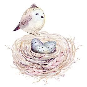 Profile Picture of Little Green Studio (@katiemackenzie) on Pinterest