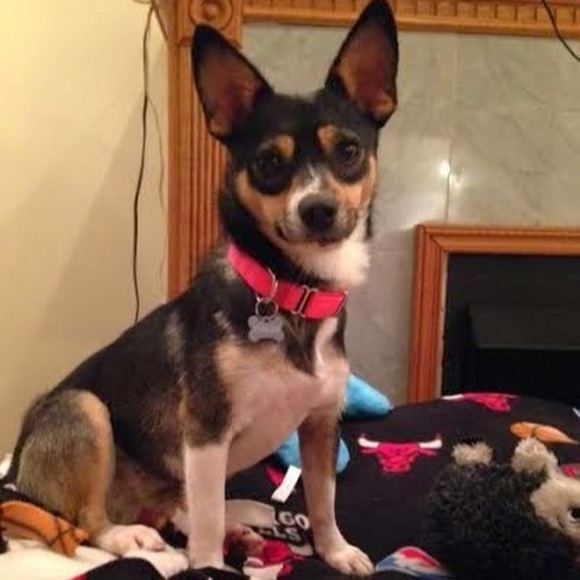 Profile Picture of Nora Schmiedel (@noblaise) on Poshmark