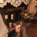 Profile Picture of Joyce Joyce Hiser (@Joyce-Joyce-Hiser) on Facebook