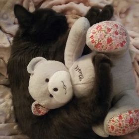 Profile Picture of Géraldine Lafaurie (@orfee18) on Pinterest