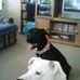 Profile Picture of Chris Smalley (@chris.smalley.1614) on Facebook