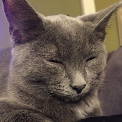 Profile Picture of Scott Sandman (@ScottSandman5) on Twitter