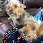 Profile Picture of Sandra Hopper (@sandra.hopper.561423) on Facebook