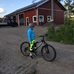 Profile Picture of Martin Casper (@casperpalmberg) on Instagram
