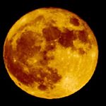 Profile Picture of Tasha Higgins (@tashyt3) on Instagram