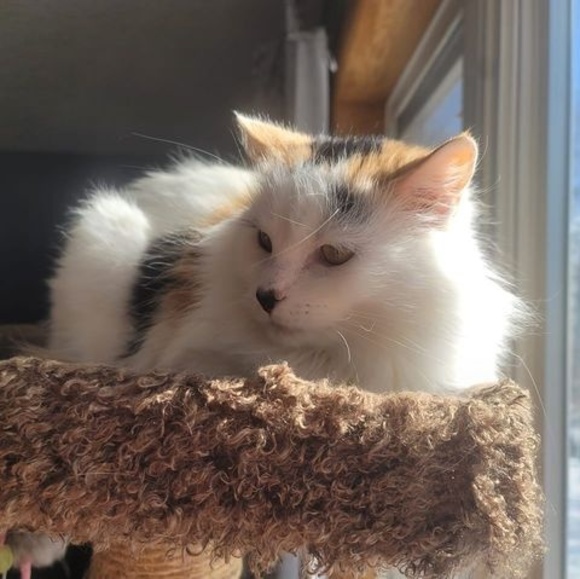 Profile Picture of Karra Neseth-djubek (@knesethdjubek) on Poshmark