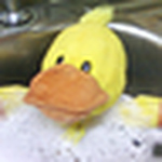 Profile Picture of Duaa Janabi (@duaa.janabi) on Flickr