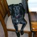 Profile Picture of Charlie Zepp (@charlie.zepp.73) on Facebook