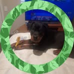 Profile Picture of Ralph Snider (@ralph.snider.9) on Facebook