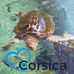 Profile Picture of Pierre Franceschini (@pierre.franceschini.5) on Facebook