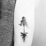 Profile Picture of James Pyer (@jamespyer) on Instagram