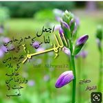 Profile Picture of Bushra Yusuf (@najma.yusuf.5836) on Instagram