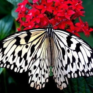 Profile Picture of Dori Todd (@429468752) on Myspace