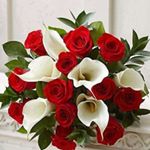 Profile Picture of Norma Barrientos (@norma.barrientos.50746) on Instagram