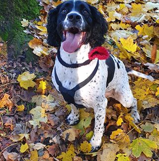 Profile Picture of Leon Hallsworth (@leon.hallsworth.12) on Facebook