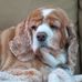 Profile Picture of Nancy Hurn (@nancy.hurn.505) on Facebook