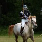 Profile Picture of Timothy Harold (@timsonit) on Instagram