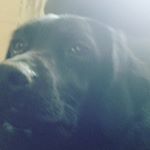 Profile Picture of Jake Henley (@ig.jake_henley) on Instagram