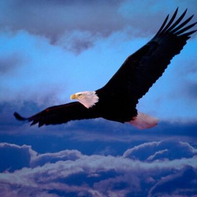 Profile Picture of Peter (@peterformosa) on Twitter