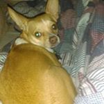 Profile Picture of Charlotte Perry (@perry_charlotte) on Instagram