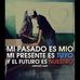 Profile Picture of Lilian Jaramillo (@Lilian-Jaramillo) on Facebook
