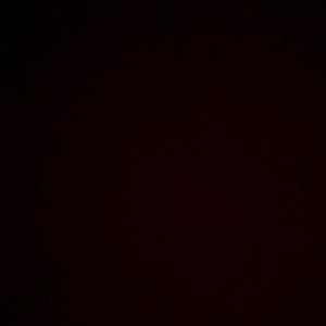 Profile Picture of Daniel Kreiner (@daniel.kreiner) on Tiktok