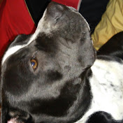 Profile Picture of Jose Gardea (@josegardea8746) on Youtube