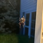 Profile Picture of Matthew Rosner (@matthew.rosner.2025) on Facebook