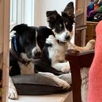 Profile Picture of Michele Simone Byers (@michele.s.byers) on Facebook