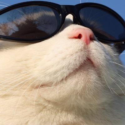 Profile Picture of Jimmy T. Seng (@zxc999456) on Twitter