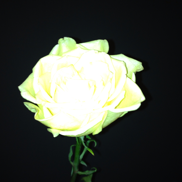 Profile Picture of Maria Apessos (@maria212) on Poshmark