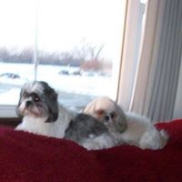 Profile Picture of Carol Wright (@carol-wright-50) on Quora