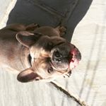 Profile Picture of Bobby Thorne (@bobby.thorne.927) on Instagram