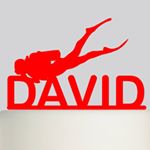 David Shumway - Instagram Profile Picture of David Shumway (@paladin1776) on Instagram