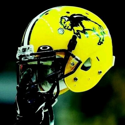 Profile Picture of Nate Rust (@nate_rust) on Twitter