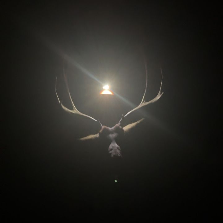 Blake Wood - Tiktok Profile Picture of Blake Wood (@blake_wood) on Tiktok