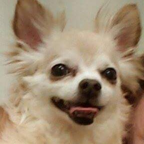 Profile Picture of Nancy (Warriner) Lan (@suezyjane) on Twitter