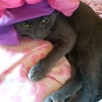 Profile Picture of Shannon Parker Acre (@shannonparkeracre) on Facebook