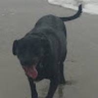 Profile Picture of Libby Mcconnell (@libby-mcconnell-5) on Quora