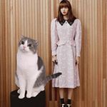 Profile Picture of Lisa Leo Luca Lily Louis (@leolisa27) on Instagram