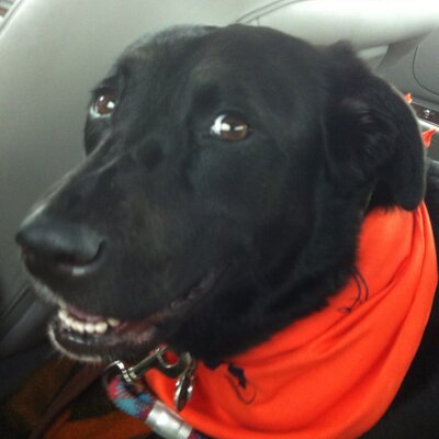 Profile Picture of Terry Fountain (@thfountain) on Twitter