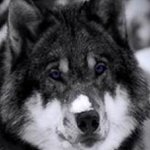 Profile Picture of Tabitha Sanchez (@tabithasanchez5) on Instagram