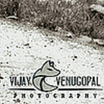 Profile Picture of Vijay Anand Venugopal (@vijaycv89) on Flickr