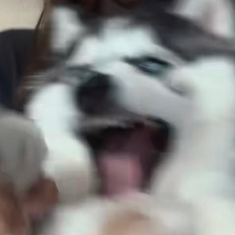 Profile Picture of BÉRRÏËŚ ÆÑD ÇRÉÆM🤩 (@kids.are.yumalicous) on Tiktok
