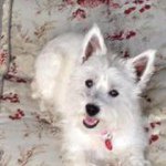 Profile Picture of Dawn Kohn (@dawnkohn) on Instagram