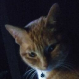 Profile Picture of Fenwick_Glen (@Fenwick_Glen) on Twitter